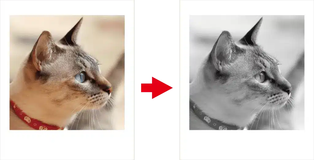 モノクロのチェキ封印刷