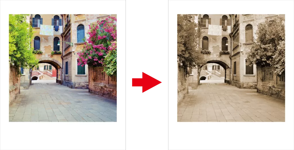 セピアのチェキ封印刷