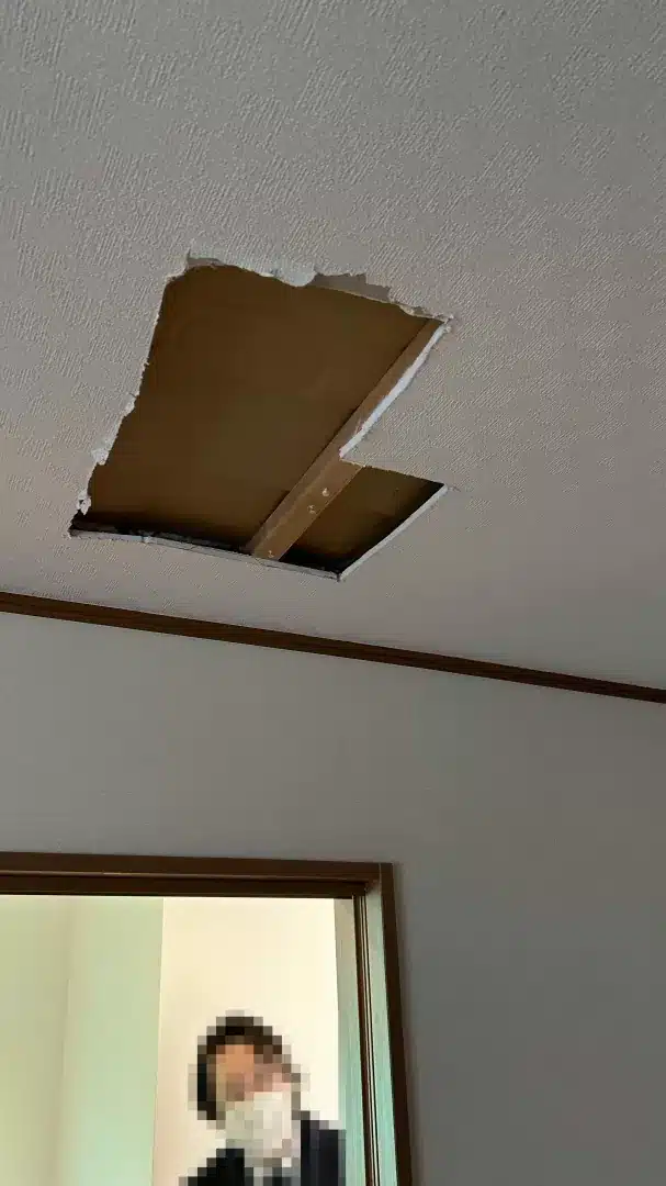 天井（修正前）