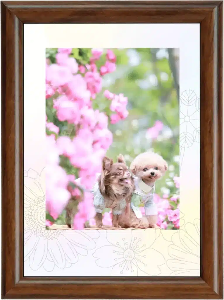 チェキフレーム