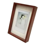 スリムフレーム