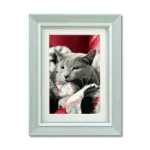 ペット用遺影額（ライトグレー）