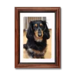 ペット用遺影額（ブラウン）