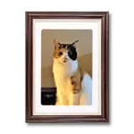 ペット用遺影額（ダークブラウン）