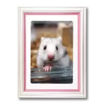 ペット用遺影額（ピンク）