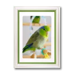 ペット用遺影額（グリーン）