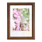 チェキフレーム