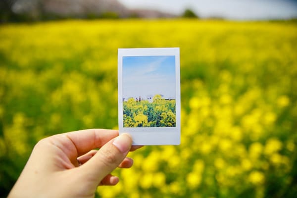 チェキフィルム印刷
