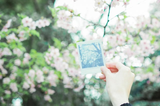 チェキフィルム印刷